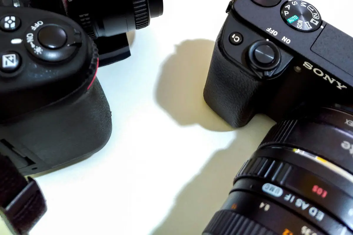 Dlaczego kelnerzy nie sprzedają droższych dań? Wyniki naszych testów